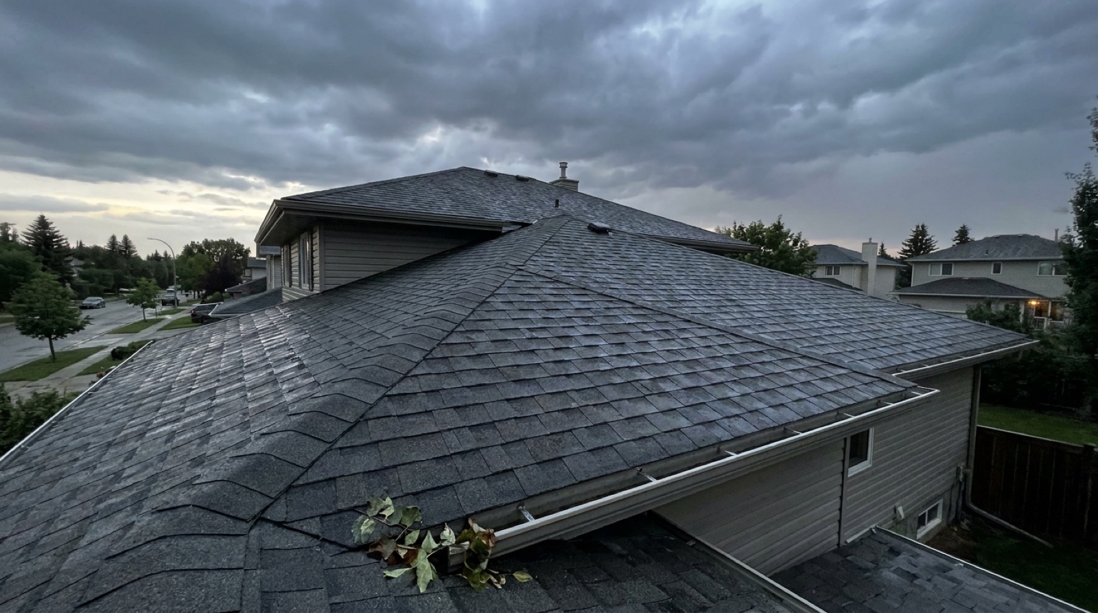 After Edmonton's Record June Rain, Check Your Roof Before the Next Storm